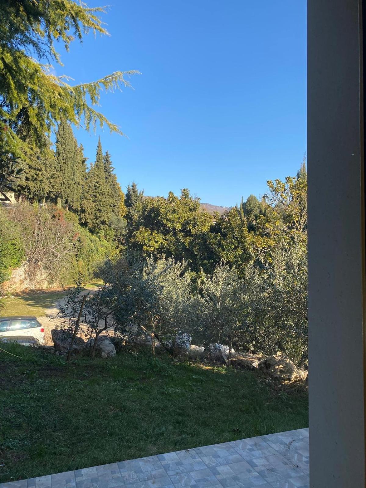 Agriturismo I Merli SantʼAmbrogio di Valpolicella Exterior foto